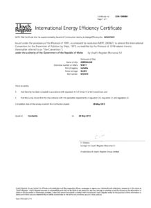 International energy efficiency certificate