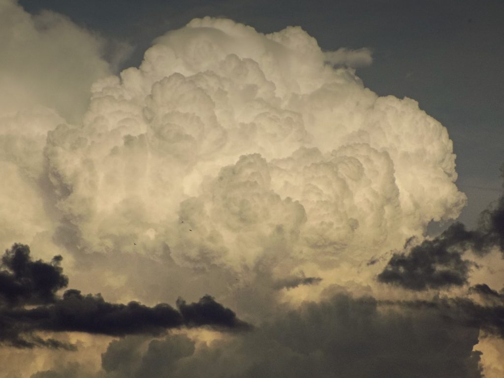 Cumulus Clouds